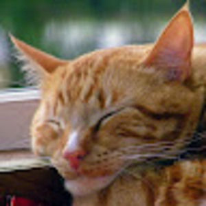 Meet your Posher, Michele